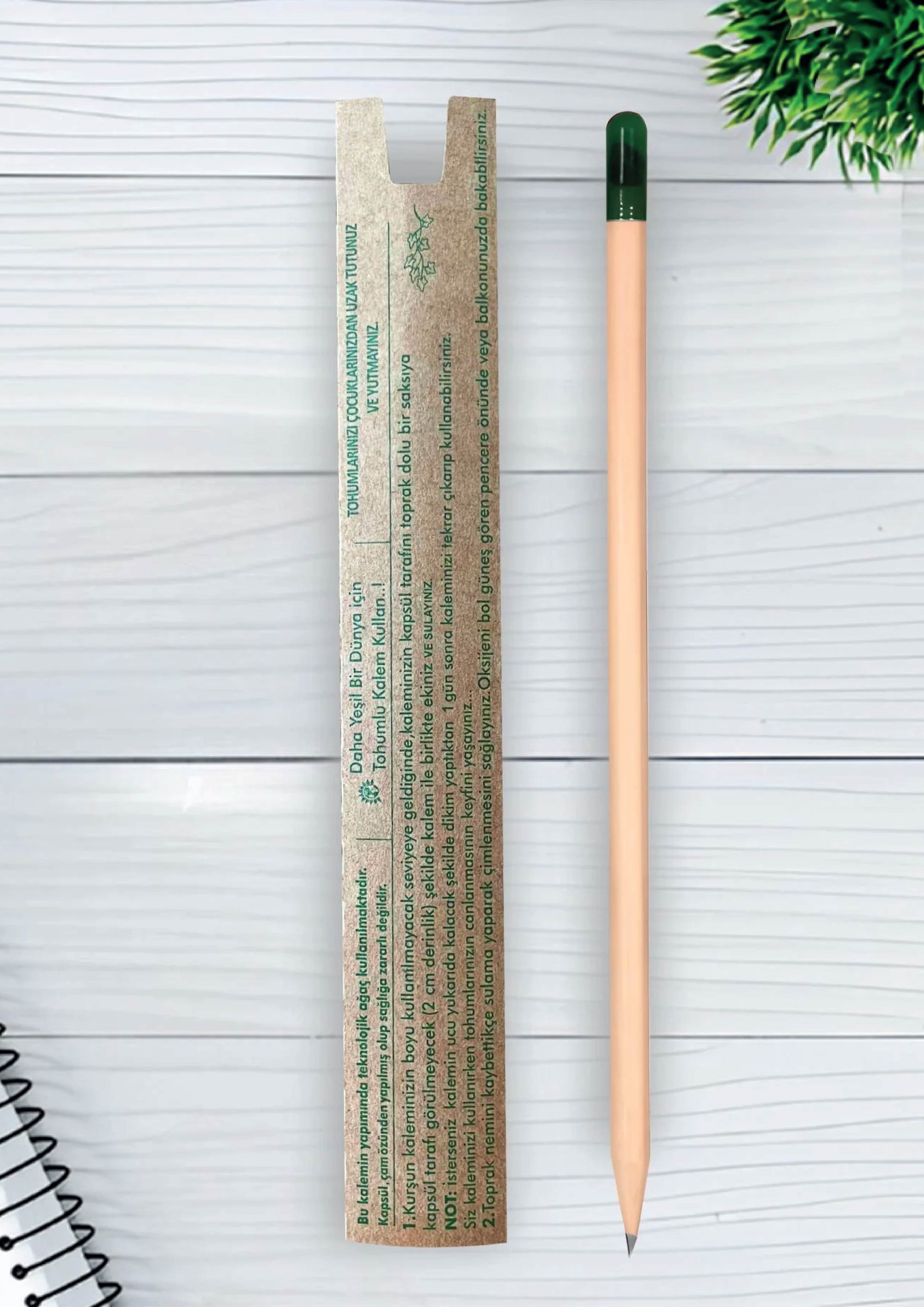 Bleistift mit Samenkapsel